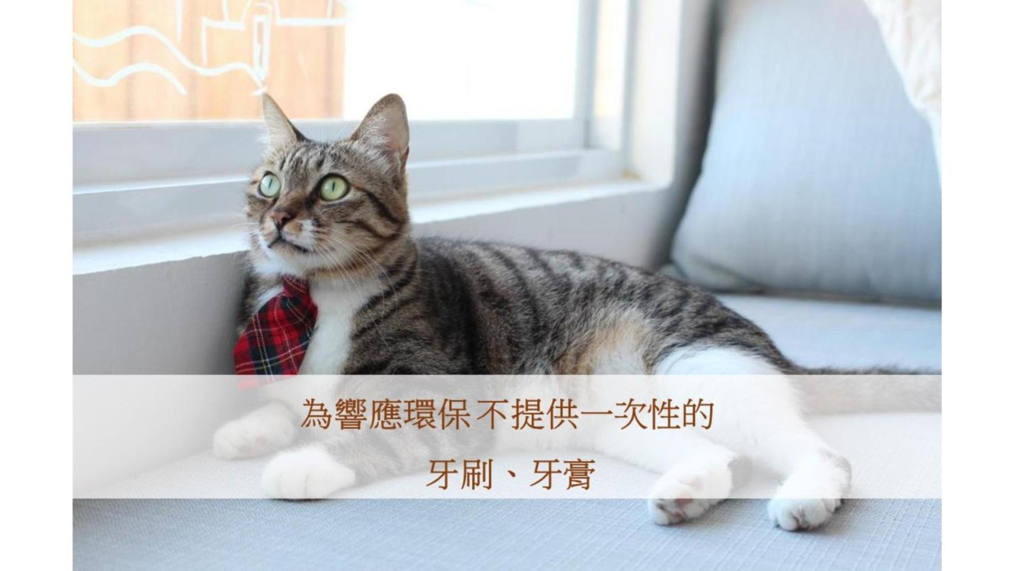 Bed and Breakfast Cat At Greece Nanwan Esterno foto
