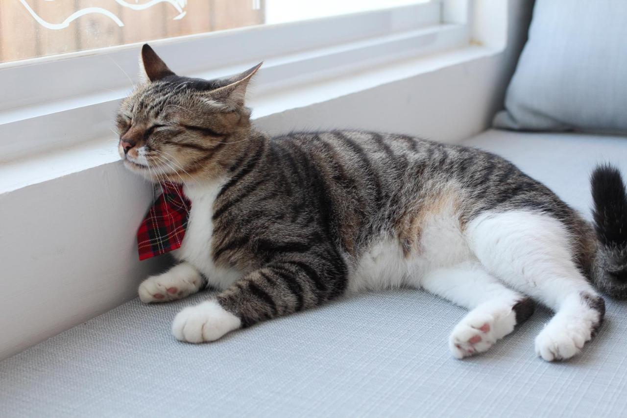 Bed and Breakfast Cat At Greece Nanwan Esterno foto