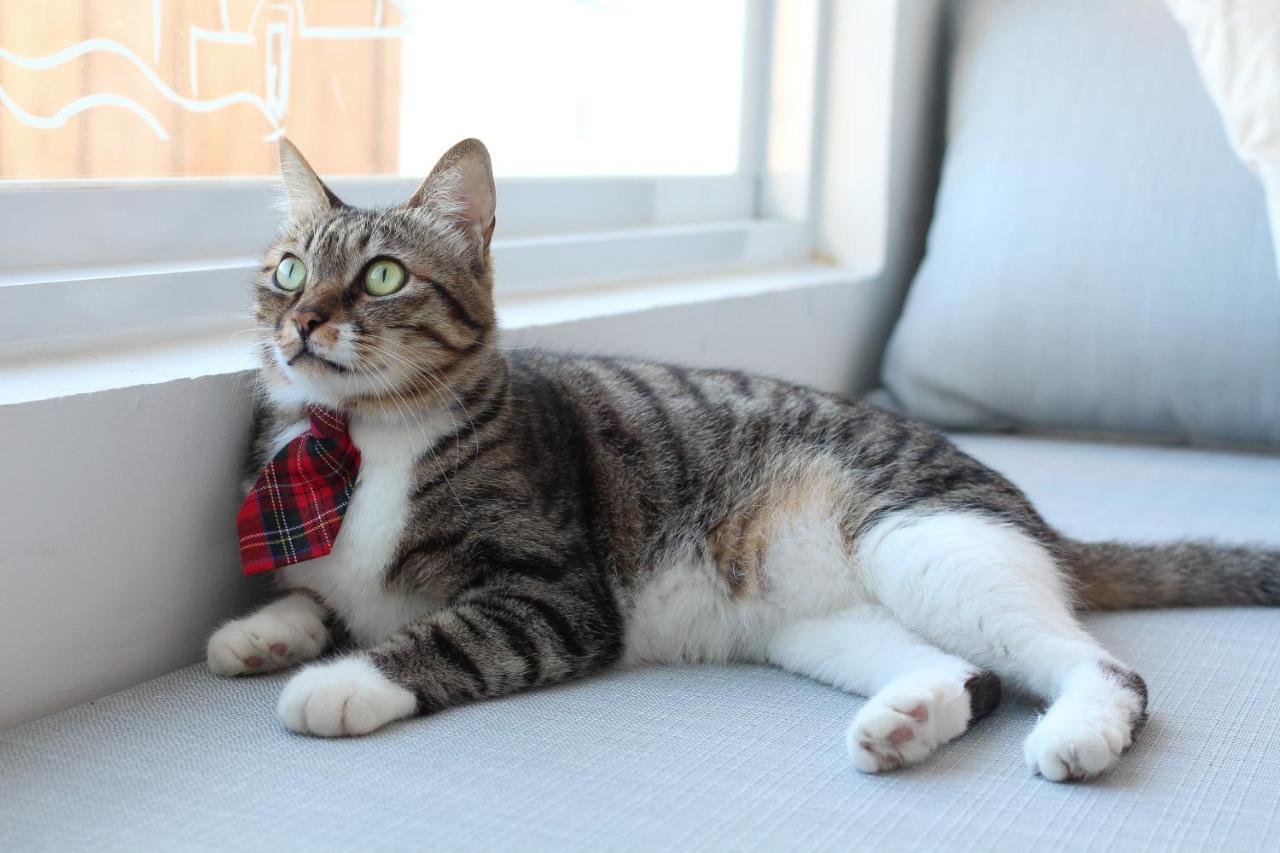 Bed and Breakfast Cat At Greece Nanwan Esterno foto
